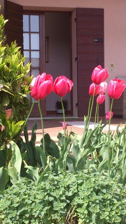 B&B Zia Maria Asolo Exterior photo